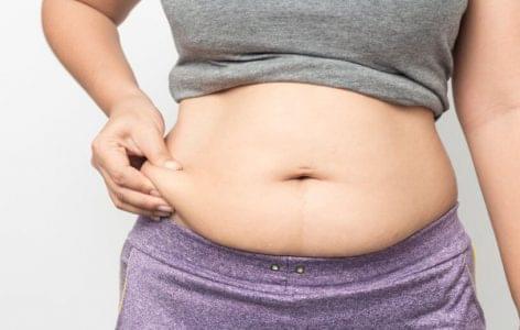 Secrets of the belly fat