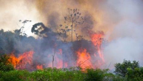 Amazon-katasztrófa: helyi NGO-kkal lép szövetségre az Abiec