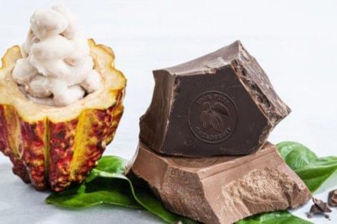 100 százalékban kakaógyümölcsből készül a Barry Callebaut új csokoládéja