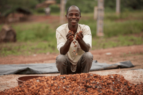 Mars: 3,5 millió kakaópalánta, több mint 270 ezer támogatott kistermelő és egy 1 milliárd dolláros befektetés a fenntartható kakaótermesztésért