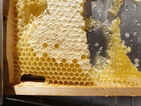 On a Hungarian initiative, the origin marking requirements of honey mixtures may become stricter