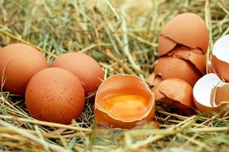 Quality systems and markings in egg production