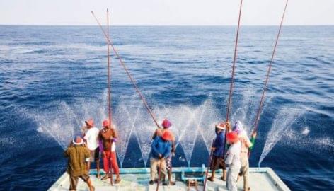 Tíz éve fenntartható a Waitrose saját márkás tonhala