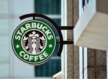 Starbucks : új környezetvédelmi terv – új növényi alapú kínálat