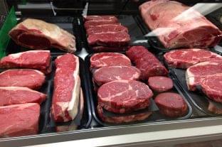 New category in genetic modification: what foods can be placed on shelves without labeling?