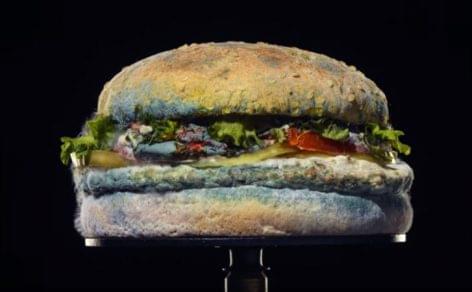 No whopper can escape its fate – Video of the day