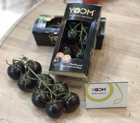 YOOM™ tomato wins Fruit Logistica Innovation Award 2020