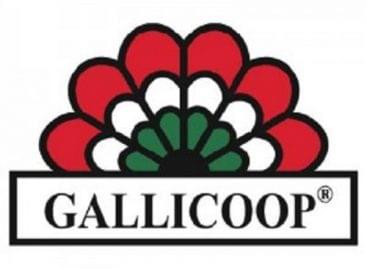 New owners at Gallicoop