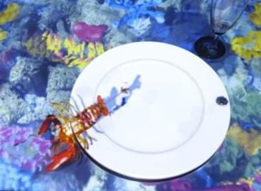 The world’s smallest chef cooks a lobster – Video of the day