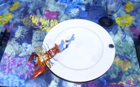 The world’s smallest chef cooks a lobster – Video of the day