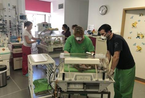 Eisberg donated special protective equipments to Semmelweis University’s Premature Intensive Care Unit