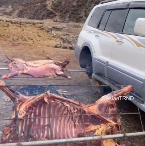 Grilling in the mongolian desert – Video of the day