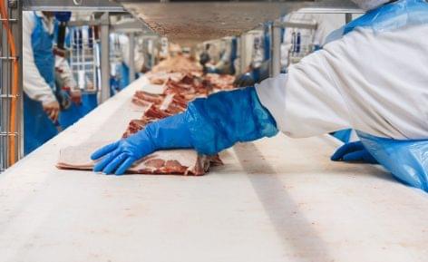 Folyamatosan elérhető a mohácsi sertéshús a boltokban