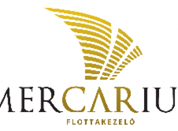 Mercarius says life goes in the operative leasing market