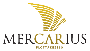 mercarius logo