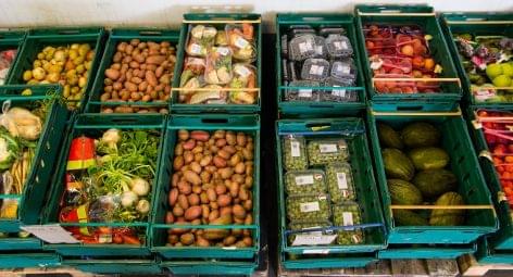 Az Allianz 10 millió forinttal segíti a rászorulókat a Magyar Élelmiszerbank Egyesület fenntarthatósági programján keresztül