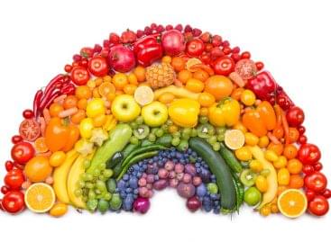 HUN-REN and the University of Singapore organize a conference on healthy living