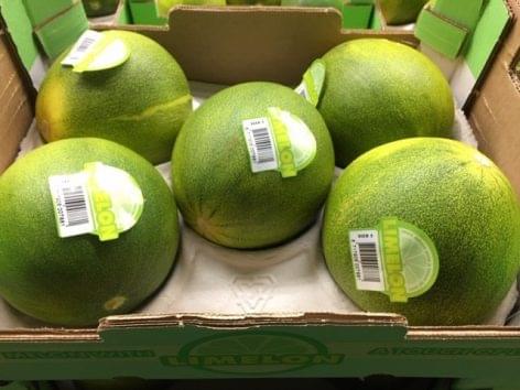 The new melon variety is becoming more and more popular
