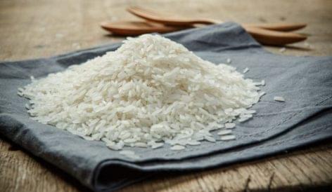 Nyolcéves csúcson a vietnámi export rizs ára