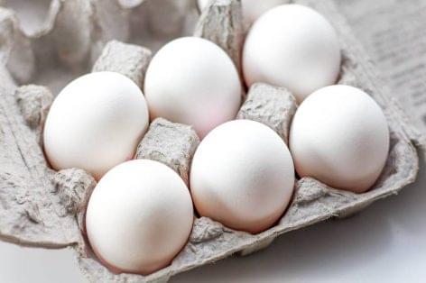 Tesco: 40 év után újra fehér tojások a terítéken