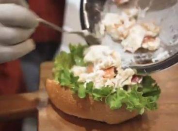 Toronto’s lobster wonderland – Video of the day
