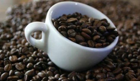 Munkaerőhiány miatt veszélyben a kávéaratás Costa Ricában