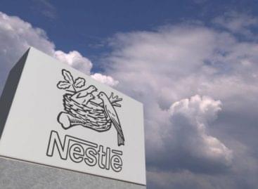 Fizet a Nestlé a kakaóültetvényeseknek, ha iskolába küldik gyerekeiket