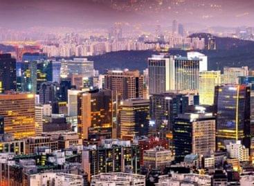 Organic gardening in the Seoul subway