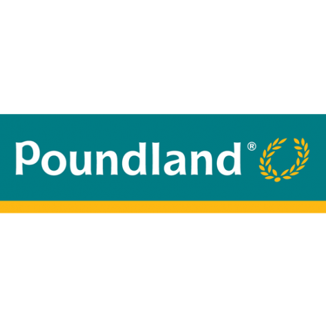 Poundland starts e-commerce pilot