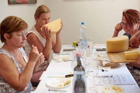 A legjobb kézműves sajtok és tejtermékek versenyeztek a Sajtmustrán