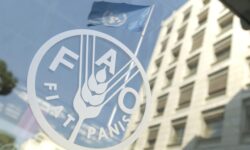 Global consumption of animal-based foods to increase significantly within ten years
