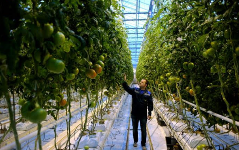Európa és Közép-Ázsia letette voksát a fenntartható és innovatív mezőgazdaság mellett