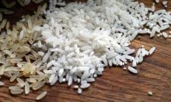 Record heat in Japan: rice crop at risk