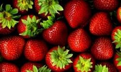 The strawberry season started with three Hungarian varieties on Kifli.hu