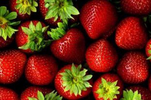 The strawberry season started with three Hungarian varieties on Kifli.hu