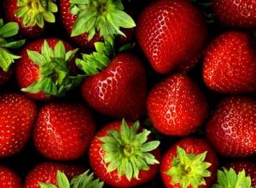 The strawberry season started with three Hungarian varieties on Kifli.hu