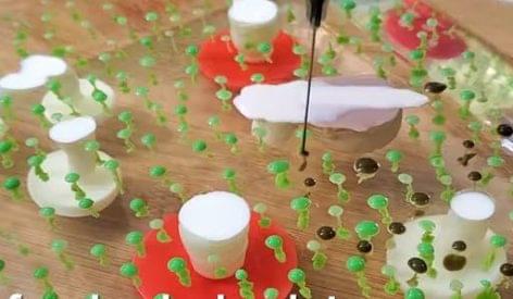Inject Food Coloring Into Gelatin To Create Forest Scenes – Video of the day