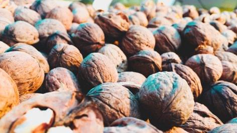 Wine and walnut prices grew significantly