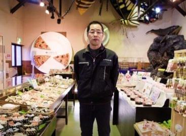 Fake Food, Real Art: Crafting Display Delicacies – Video of the day