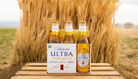 Organic Lager Now Being Brewed with 100% Solar Electricity