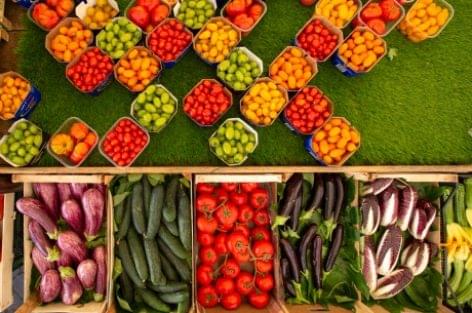 We are what we eat: Transforming diets to transform agri-food systems