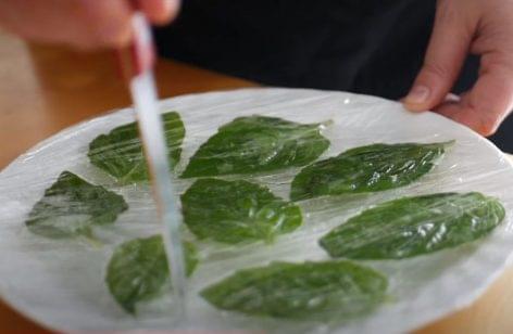 Perfectly Flat Fried Basil Garnish – Video of the day