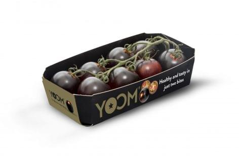 A unique taste experience in the name of sustainability: The award-winning dark purple tomato has arrived in Hungary