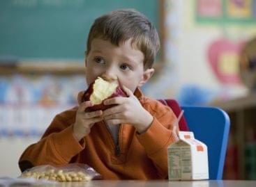 500 thousand servings of lunch saved from school canteens