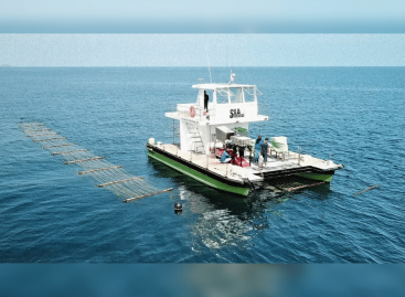 An automated ‘sea combine’ for harvesting seaweed at scale