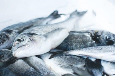 The domestic fish farming sector may also benefit from Eurofish’s activities