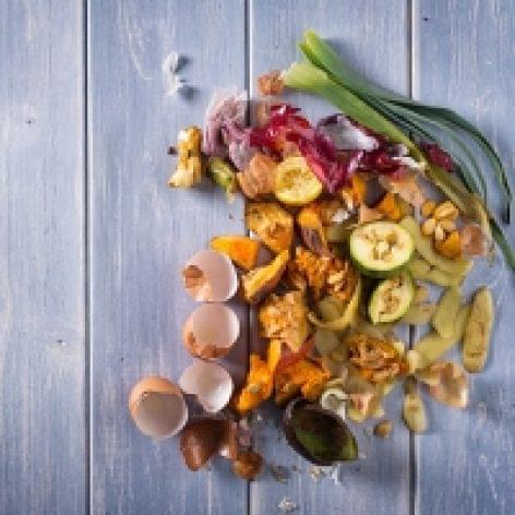 Food waste piles up as Britain faces farming labor shortages, planting scaled down for 2022