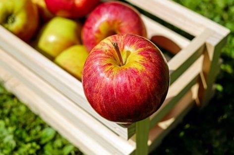 A fogyasztók négyötöde hazai almát választ