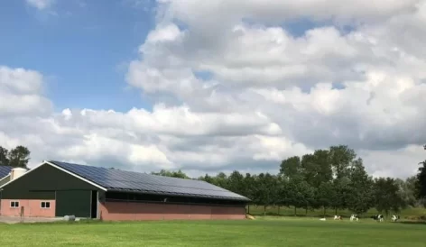 FrieslandCampina Launches Solar Panel Project For Smaller Roofs