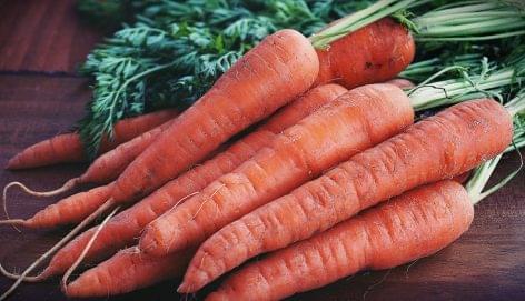 Carrots of Fertőd also received EU protection